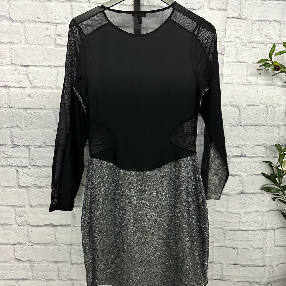 Express Sheer Shimmer Dress - NWT - Picture 5 of 5